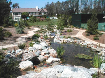 landscaping companies water features